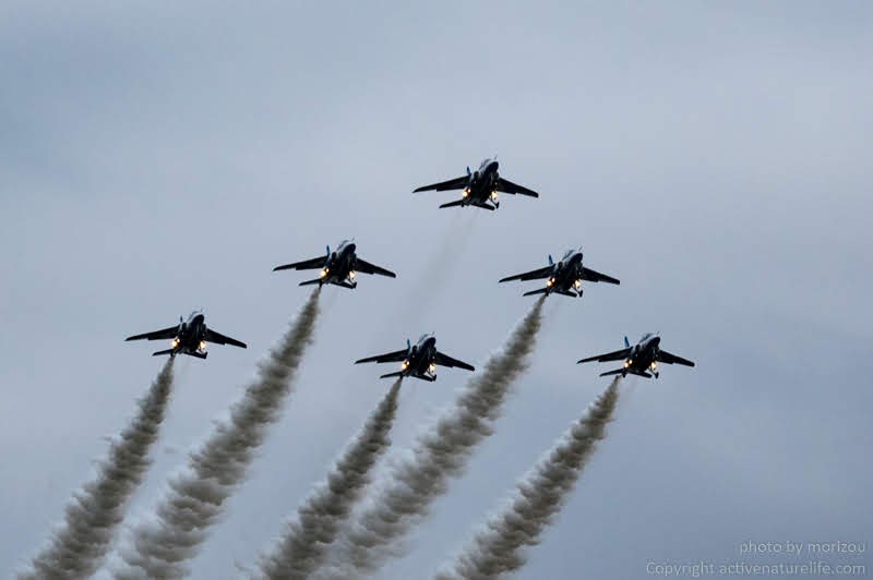 入間航空祭19 ブルーインパルスの展示飛行を見てきました Activenaturelife