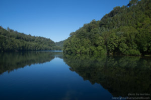 Peラインとリーダーの結び方 Fgノットはノットアシスト2 0を使うのが超簡単でおすすめ Activenaturelife